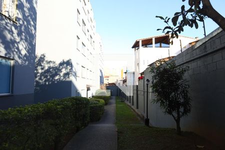 Área comum de apartamento para alugar com 3 quartos, 65m² em Itaquera, São Paulo
