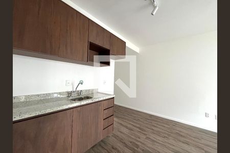 Apartamento para alugar com 48m², 2 quartos e sem vaga Apartamento para alugar com 48m², 2 quartos e sem vagaCozinha