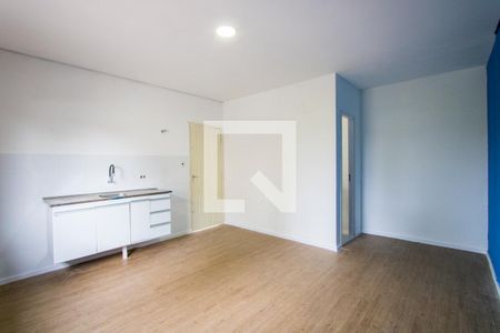 Sala/Quarto/Cozinha de casa para alugar com 1 quarto, 25m² em Casa Branca, Santo André