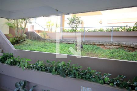 Jardim de apartamento para alugar com 3 quartos, 75m² em Boa Vista, Belo Horizonte