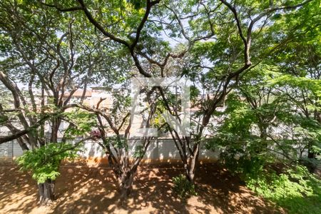 Vista do quarto 1 de apartamento à venda com 2 quartos, 42m² em Bandeirantes (pampulha), Belo Horizonte