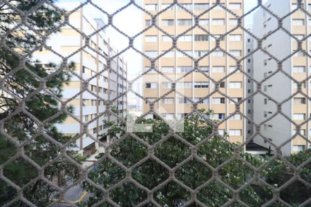 Apartamento para alugar com 50m², 2 quartos e 1 vagaVista do Quarto 1