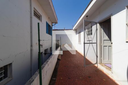 Casa à venda com 275m², 3 quartos e 3 vagasQuintal da Casa 02