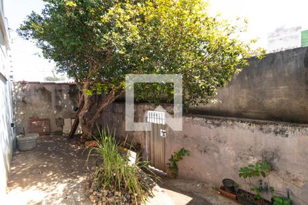 Casa à venda com 275m², 3 quartos e 3 vagasQuintal da Casa 02