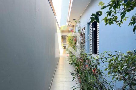 Casa à venda com 312m², 3 quartos e 2 vagasQuintal