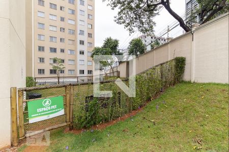 Apartamento para alugar com 42m², 2 quartos e sem vaga Apartamento para alugar com 42m², 2 quartos e sem vagaÁrea Pet