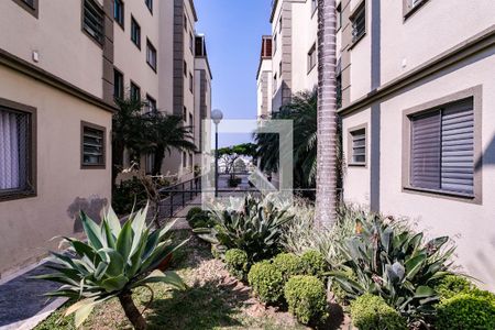 Apartamento para alugar com 70m², 3 quartos e 1 vagaÁrea comum