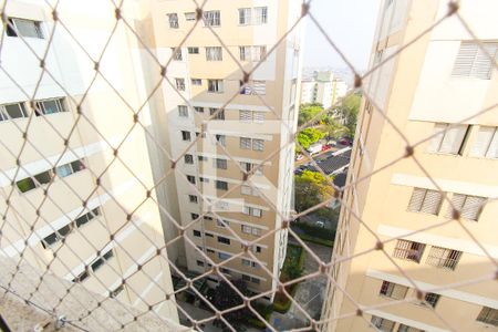 Apartamento à venda com 75m², 2 quartos e 1 vagaVista do Quarto 2