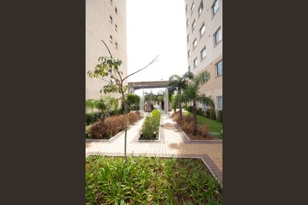 Apartamento para alugar com 33m², 2 quartos e sem vagaÁrea comum