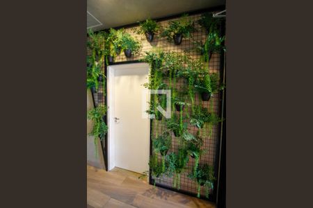 Studio à venda com 24m², 1 quarto e sem vagaHall Social