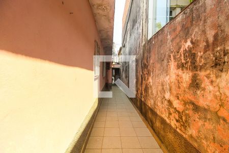 Casa à venda com 300m², 2 quartos e 3 vagasQuintal
