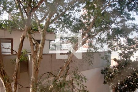 Sala Vista de apartamento à venda com 3 quartos, 80m² em Rio Branco, Porto Alegre