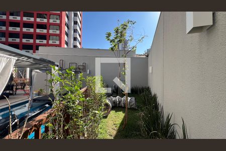 Apartamento para alugar com 25m², 1 quarto e sem vagaPet Space