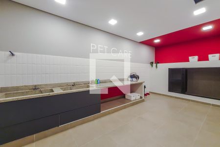 Apartamento para alugar com 33m², 1 quarto e sem vagapet care