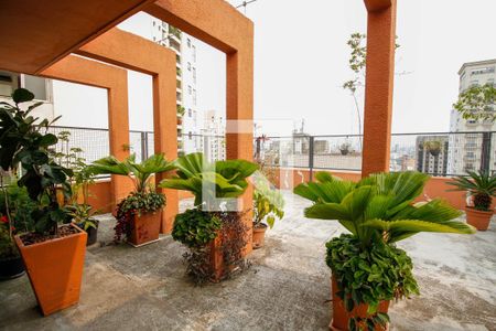 Apartamento à venda com 190m², 2 quartos e 2 vagasÁrea Comum - Solarium