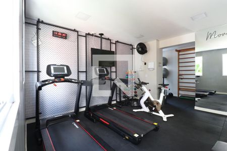 Apartamento para alugar com 35m², 2 quartos e sem vagaAcademia