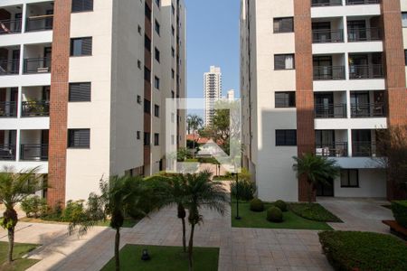 Vista do Quarto 2 de apartamento para alugar com 2 quartos, 60m² em Caxingui, São Paulo