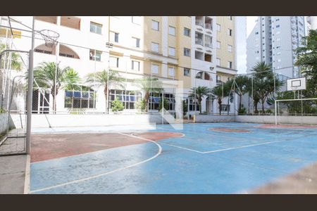 Apartamento para alugar com 75m², 3 quartos e 2 vagasQuadra