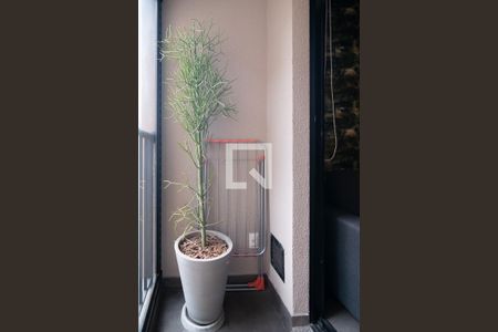 Varanda de apartamento para alugar com 2 quartos, 55m² em Centro, São Paulo