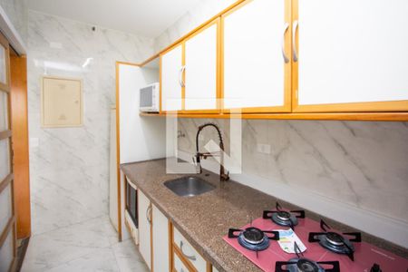 Apartamento para alugar com 45m², 1 quarto e 1 vagaCozinha