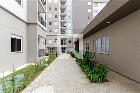 Área comum de apartamento para alugar com 2 quartos, 40m² em Pirituba, São Paulo