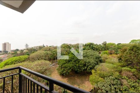 Sacada de apartamento para alugar com 2 quartos, 40m² em Pirituba, São Paulo