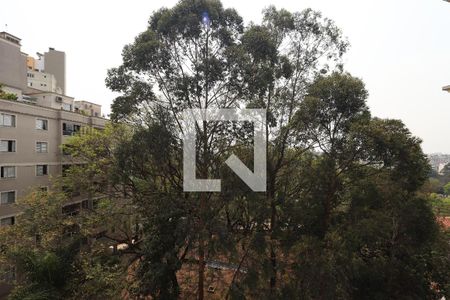 Vista da Varanda da Sala de apartamento para alugar com 2 quartos, 140m² em Paraíso do Morumbi, São Paulo