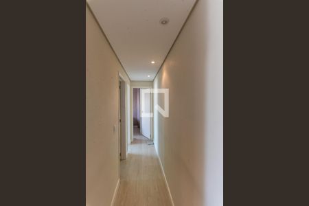 Corredor de apartamento para alugar com 2 quartos, 50m² em Jardim Nova Europa, Campinas