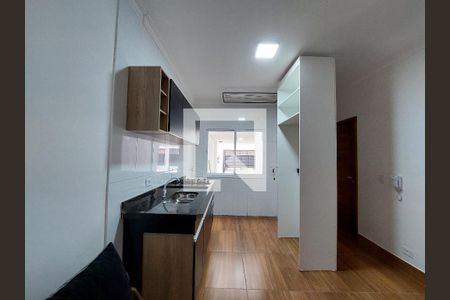 Kitnet/Studio para alugar com 1 quarto, 30m² em Jardim Consorcio, São Paulo