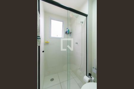 Banheiro de apartamento para alugar com 1 quarto, 27m² em Cambuci, São Paulo