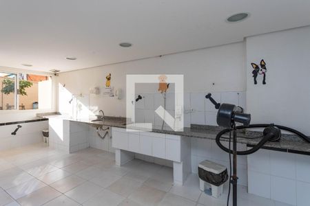 Apartamento à venda com 61m², 3 quartos e 1 vaga Apartamento à venda com 61m², 3 quartos e 1 vagaPet care