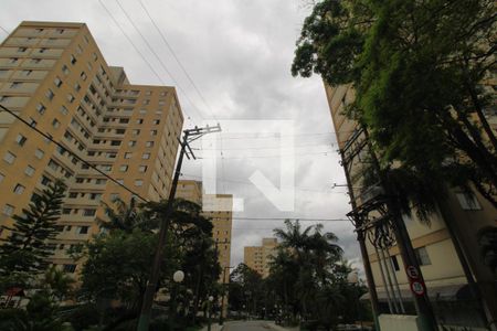 Apartamento para alugar com 75m², 3 quartos e 1 vagaFachada