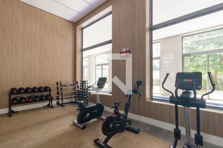 Apartamento à venda com 344m², 4 quartos e 5 vagasÁrea comum - Academia