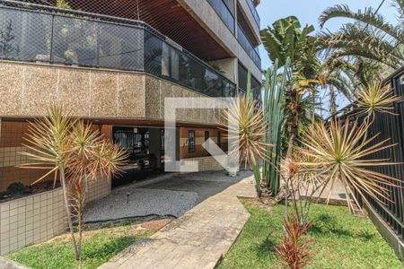 Apartamento à venda com 376m², 3 quartos e 3 vagasÁrea comum