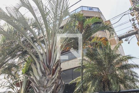 Apartamento à venda com 376m², 3 quartos e 3 vagasPlaquinha