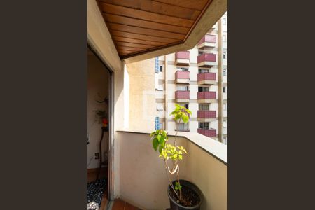 Apartamento à venda com 96m², 3 quartos e 1 vaga Apartamento à venda com 96m², 3 quartos e 1 vagaSacada da Salas