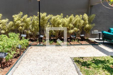 Studio para alugar com 30m², 1 quarto e sem vagaÁrea comum - Horta