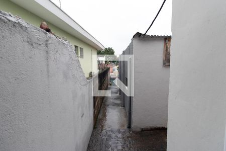 Casa à venda com 340m², 5 quartos e 1 vagaQuintal