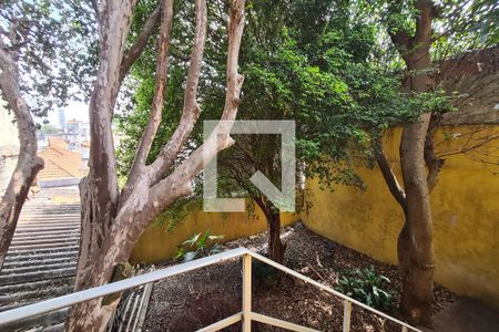 Casa à venda com 325m², 2 quartos e 6 vagasQuintal