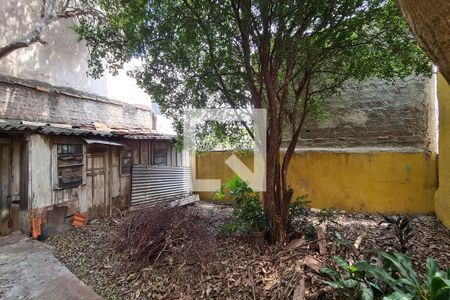 Casa à venda com 325m², 2 quartos e 6 vagasQuintal