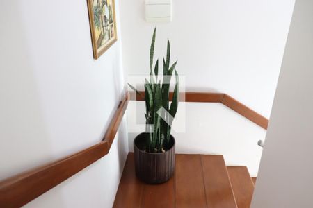 Casa à venda com 200m², 3 quartos e 3 vagasDetalhe