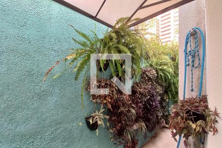 Casa à venda com 100m², 2 quartos e 3 vagas Casa à venda com 100m², 2 quartos e 3 vagasVista da Suíte