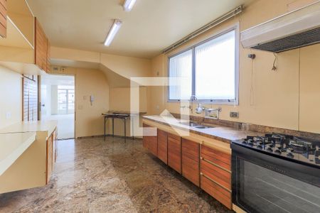Apartamento à venda com 325m², 3 quartos e 3 vagasCozinha 1