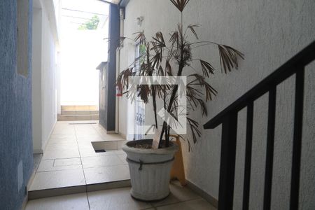 Studio para alugar com 20m², 0 quarto e sem vagaÁrea comum