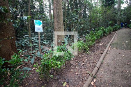 Apartamento à venda com 202m², 4 quartos e 2 vagasÁrea comum - Pet