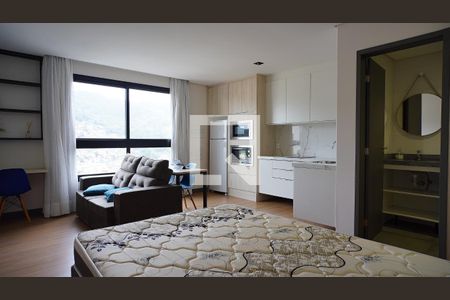Studio de apartamento para alugar com 1 quarto, 55m² em Saco dos Limões, Florianópolis