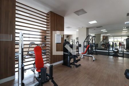 Apartamento para alugar com 45m², 1 quarto e 1 vagaÁrea comum - Academia