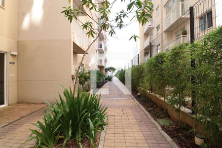 Apartamento à venda com 35m², 2 quartos e sem vagaÁrea comum