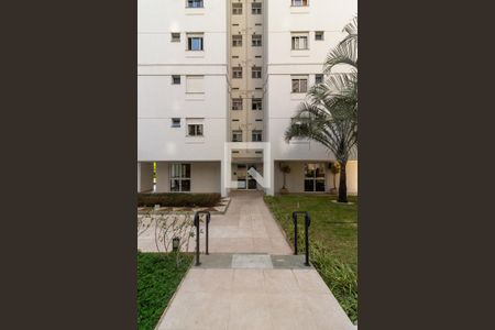 Fachada do bloco de apartamento para alugar com 3 quartos, 69m² em Vila Suzana, São Paulo