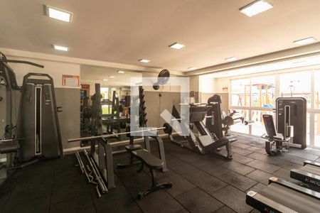 Área comum - Academia de apartamento para alugar com 3 quartos, 69m² em Vila Suzana, São Paulo